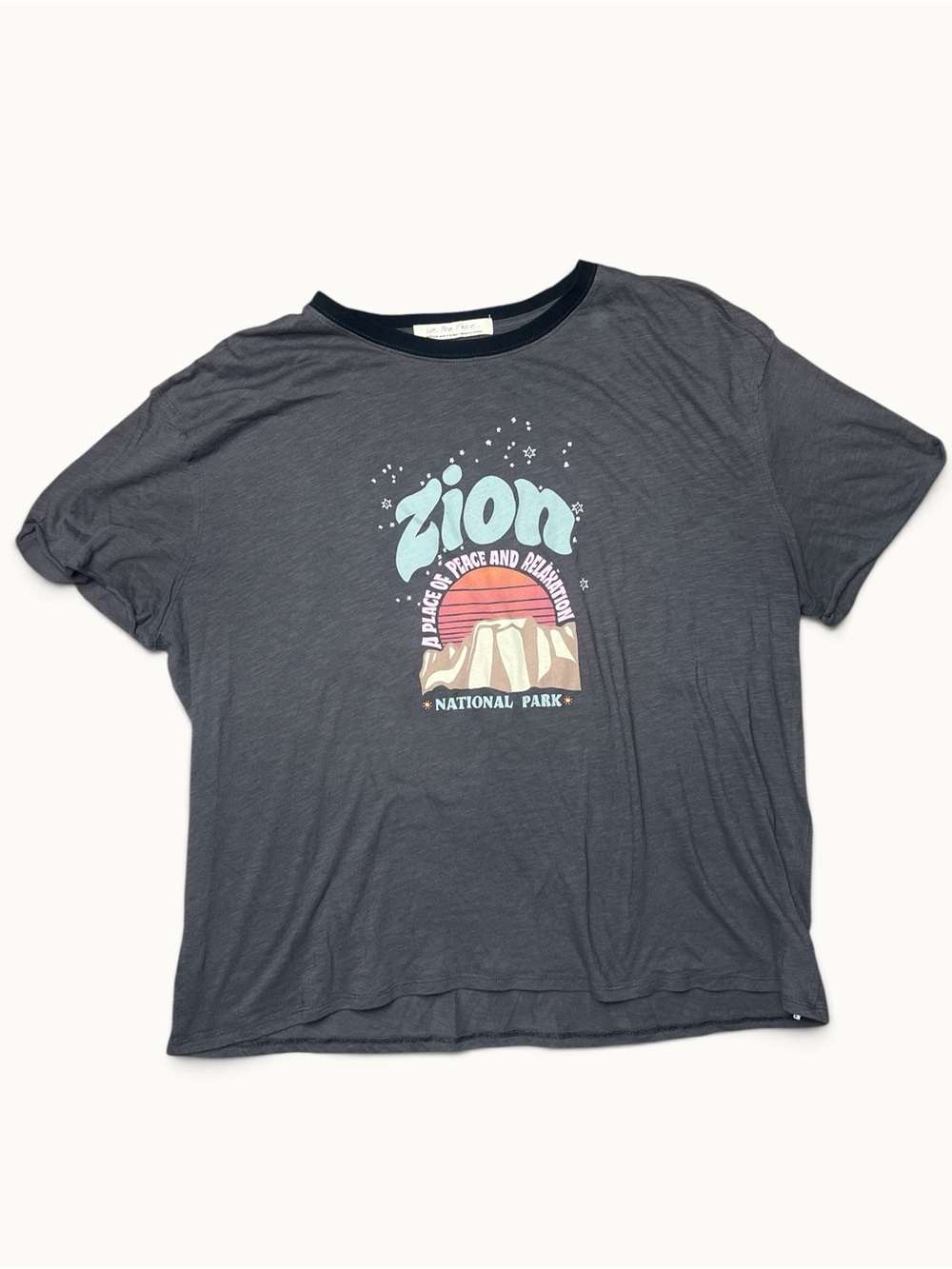 We The Free Zion National Park Graphic Tee Women’s M Free People